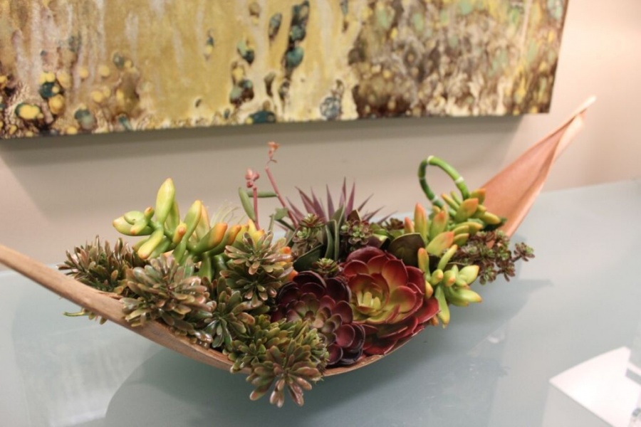 succulent arrangement dallas designed