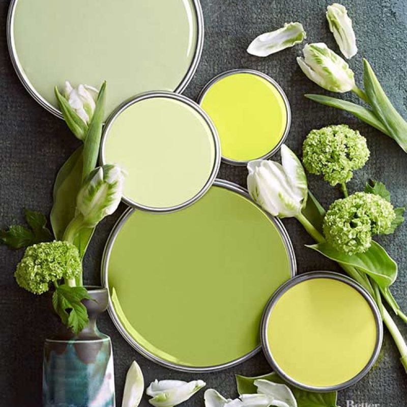 interior designer color